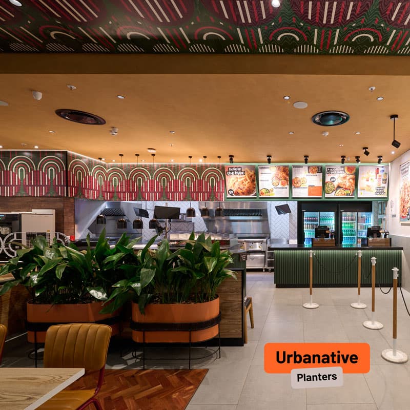 plants inside Nando's Vaal mall